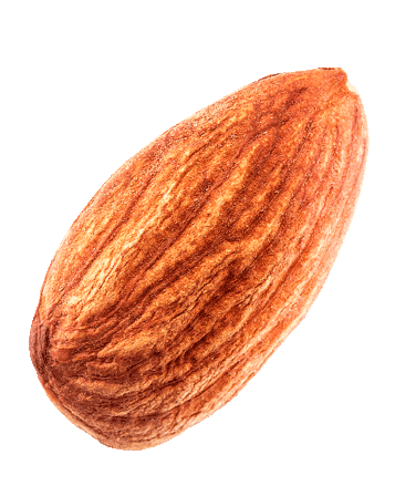 100 almendra natural Aureum